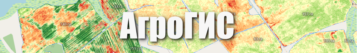 header.png
