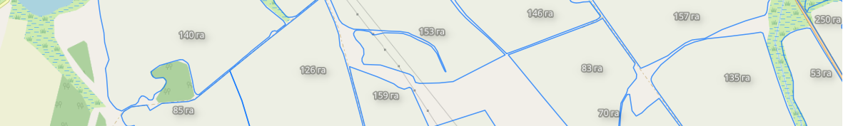 vector_field.png
